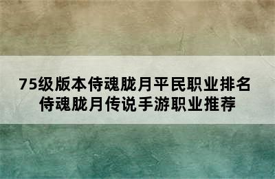 75级版本侍魂胧月平民职业排名 侍魂胧月传说手游职业推荐